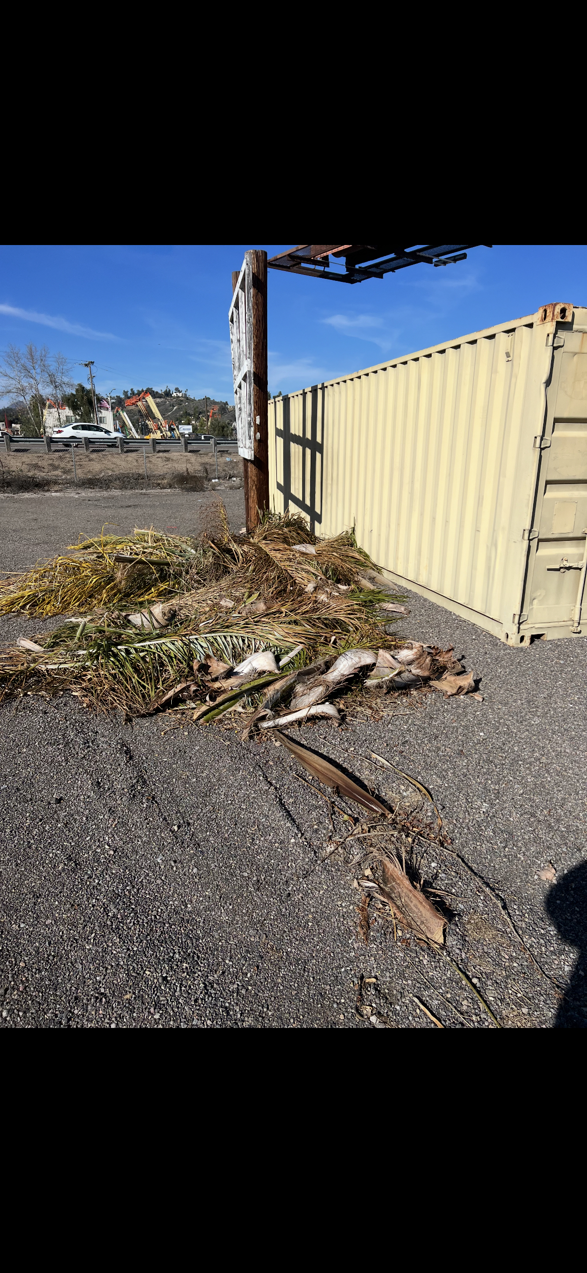 Yard debris removal and cleanup service